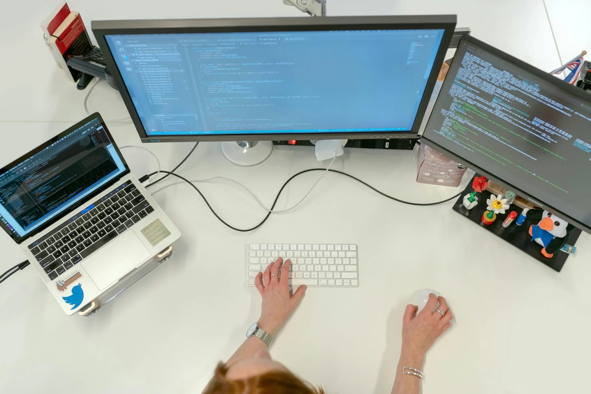 WEB DEV preview